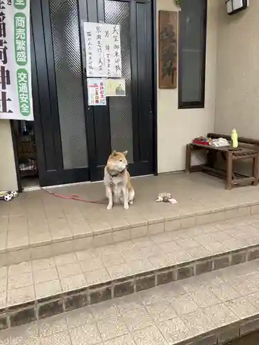 笠䅣稲荷神社の動物