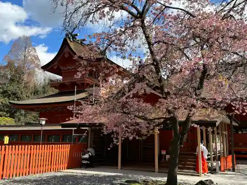 富士山本宮浅間大社(静岡県)