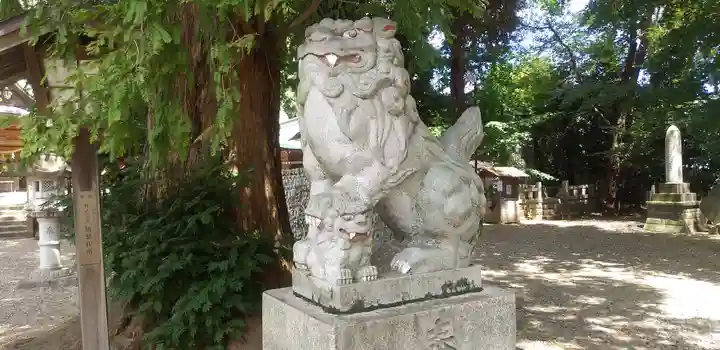 岩槻久伊豆神社の狛犬