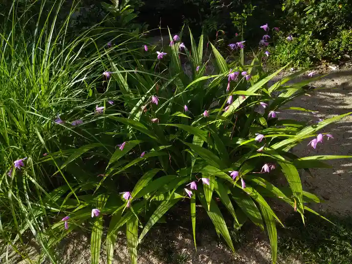 備中国總社(岡山県)