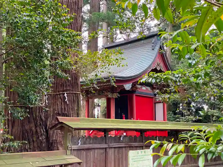 大井神社の本殿・本堂