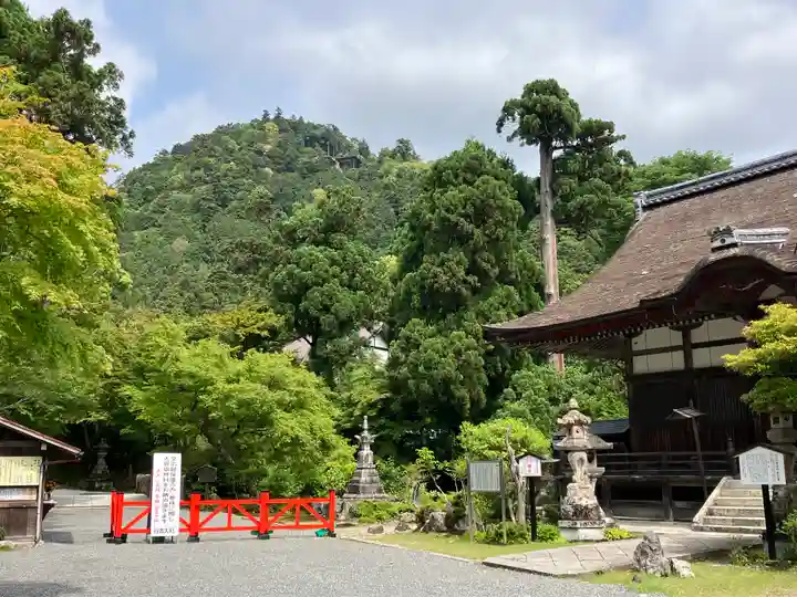 日吉大社(滋賀県)