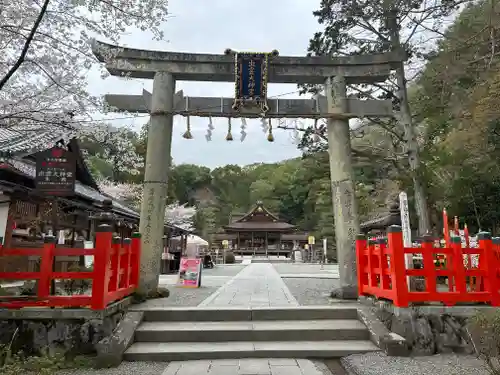 出雲大神宮の鳥居