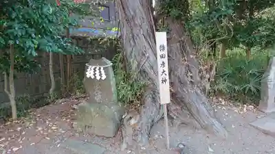 星宮神社の末社・摂社