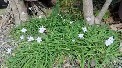鎌達稲荷神社(京都府)