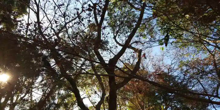 荒木神社の自然