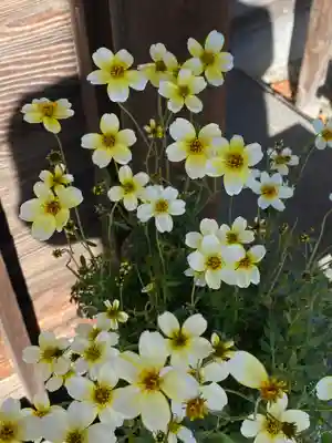妙蓮寺(神奈川県)