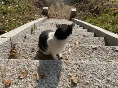 春日神社(千葉県)