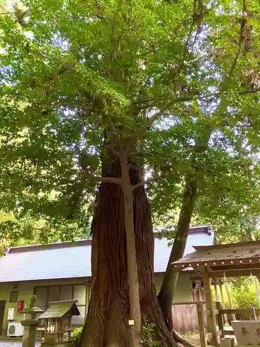 鴨鳥五所神社(茨城県)