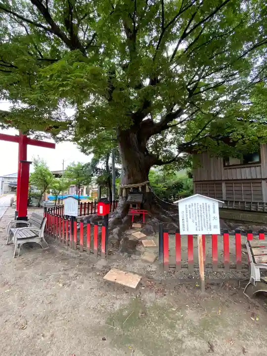 曽根神社(新潟県)