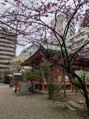 秋葉神社(東京都)