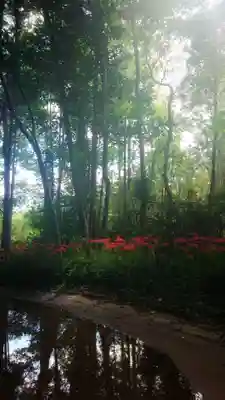 龍宮之宮の周辺