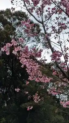 熊野若王子神社(京都府)