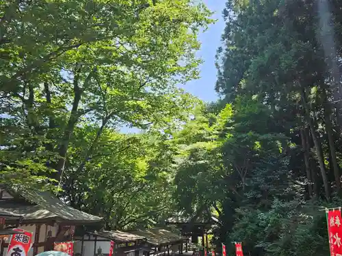 水澤寺(水澤観世音)の景色