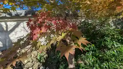 宝菩提院願徳寺(京都府)