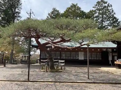 尾張冨士大宮浅間神社(愛知県)
