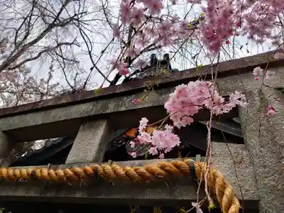 雨宝院(京都府)