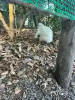 熱田神宮(愛知県)