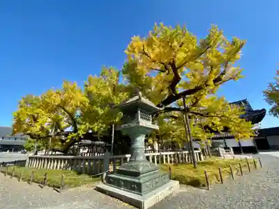 本願寺（西本願寺）のその他建物