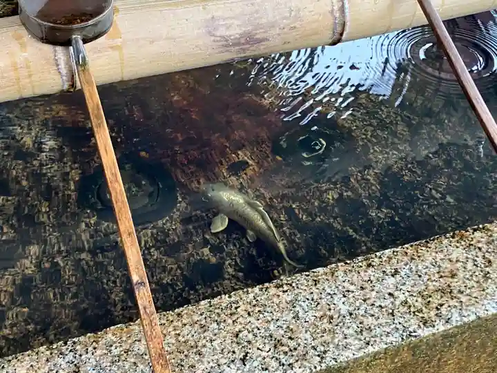 津島神社(愛知県)