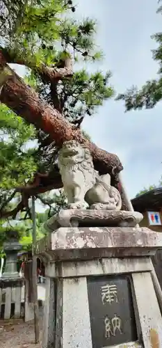 盛岡八幡宮の狛犬