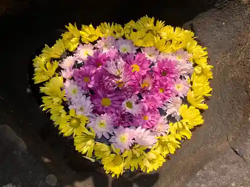 真言宗　善通寺派　薬王寺(香川県)