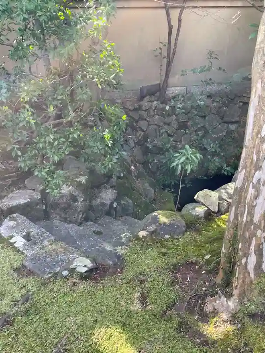 大光院(京都府)