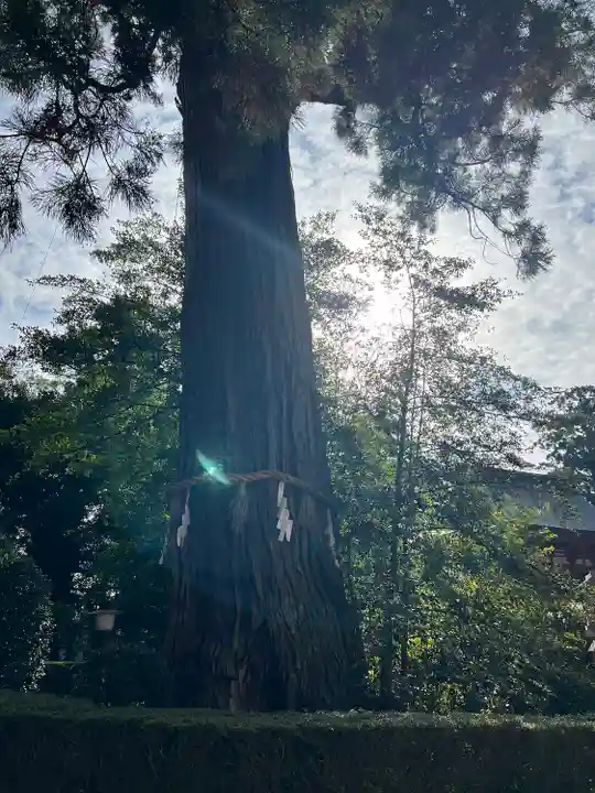 香取神宮(千葉県)