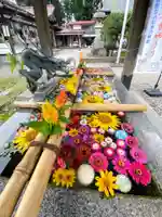 今市報徳二宮神社の手水舎
