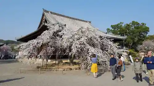 道成寺の庭園