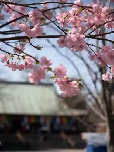 喜多院(埼玉県)