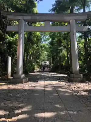 代々木八幡宮の鳥居