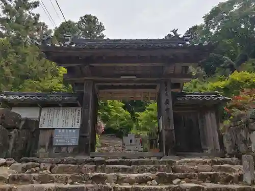 桑実寺の山門