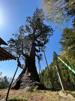 木幡山隠津島神社(二本松市)(福島県)
