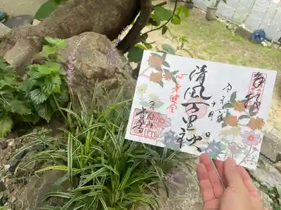 清風万里秋_屋外