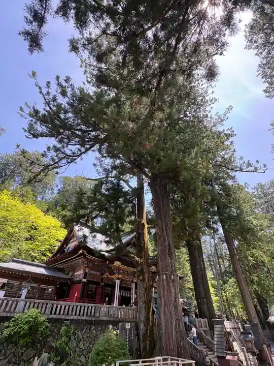 三峯神社(埼玉県)