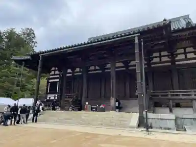 金剛峰寺大伽藍金堂(和歌山県)