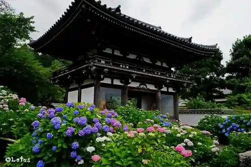 観音寺の山門