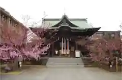 桜神宮の本殿