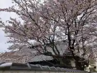 最勝寺の{uncategorized: "未分類", other: "その他", undefined: "問題あり", building: "その他建物", grave: "お墓", sacred_gate: "鳥居", guardian: "狛犬", statue: "像", buddha: "仏像", history: "歴史", nature: "自然", garden: "庭園", animal: "動物", pagoda: "塔", temizu: "手水舎", mountain_gate: "山門・神門", sanctuary: "本殿・本堂", subordinate: "末社・摂社", art: "芸術", scenery: "景色", jizo: "地蔵", ema: "絵馬", goshuin: "御朱印", omikuji: "おみくじ", items: "授与品その他", amulet: "お守り", goshuincho: "御朱印帳", eats: "食事", festival: "お祭り", votive_dance: "神楽", shichigosan: "七五三参", wedding: "結婚式", experience: "体験その他", initially: "初詣", around: "周辺", anti_infection: "感染症対策"}