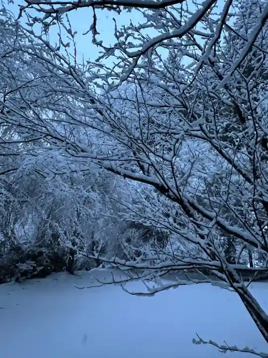 大宮温泉神社(栃木県)