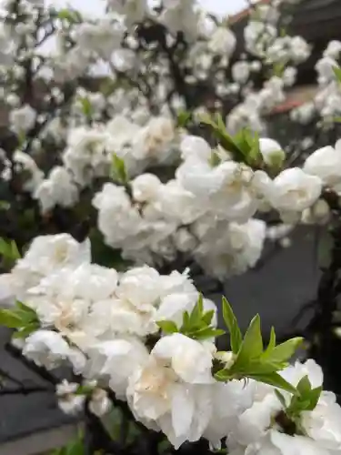 多治速比売神社(大阪府)