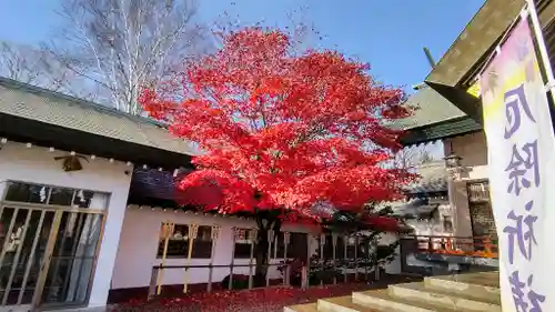 中嶋神社の庭園