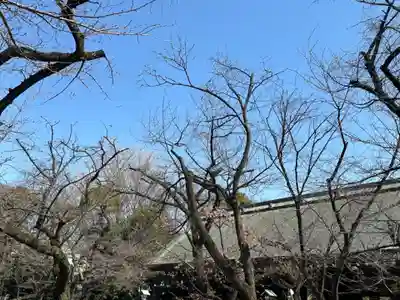 靖國神社(東京都)