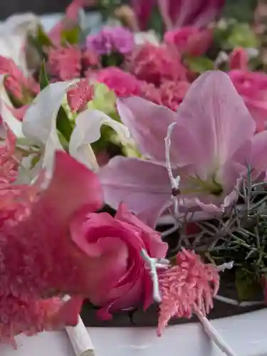 鳩森八幡神社(東京都)