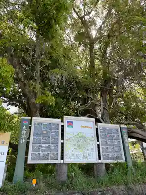 大神神社(奈良県)