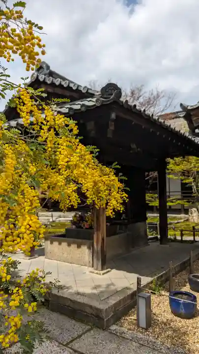 勝林寺(京都府)