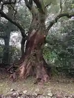 都萬神社(宮崎県)