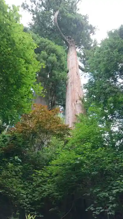 榛名神社(群馬県)