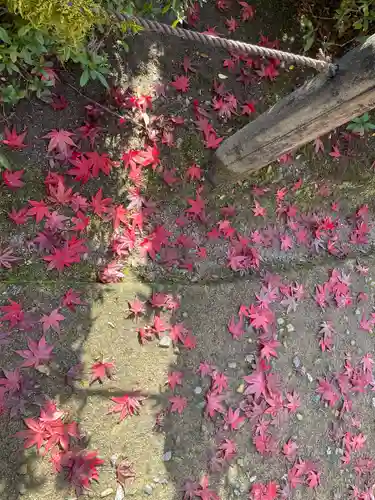 三室戸寺(京都府)
